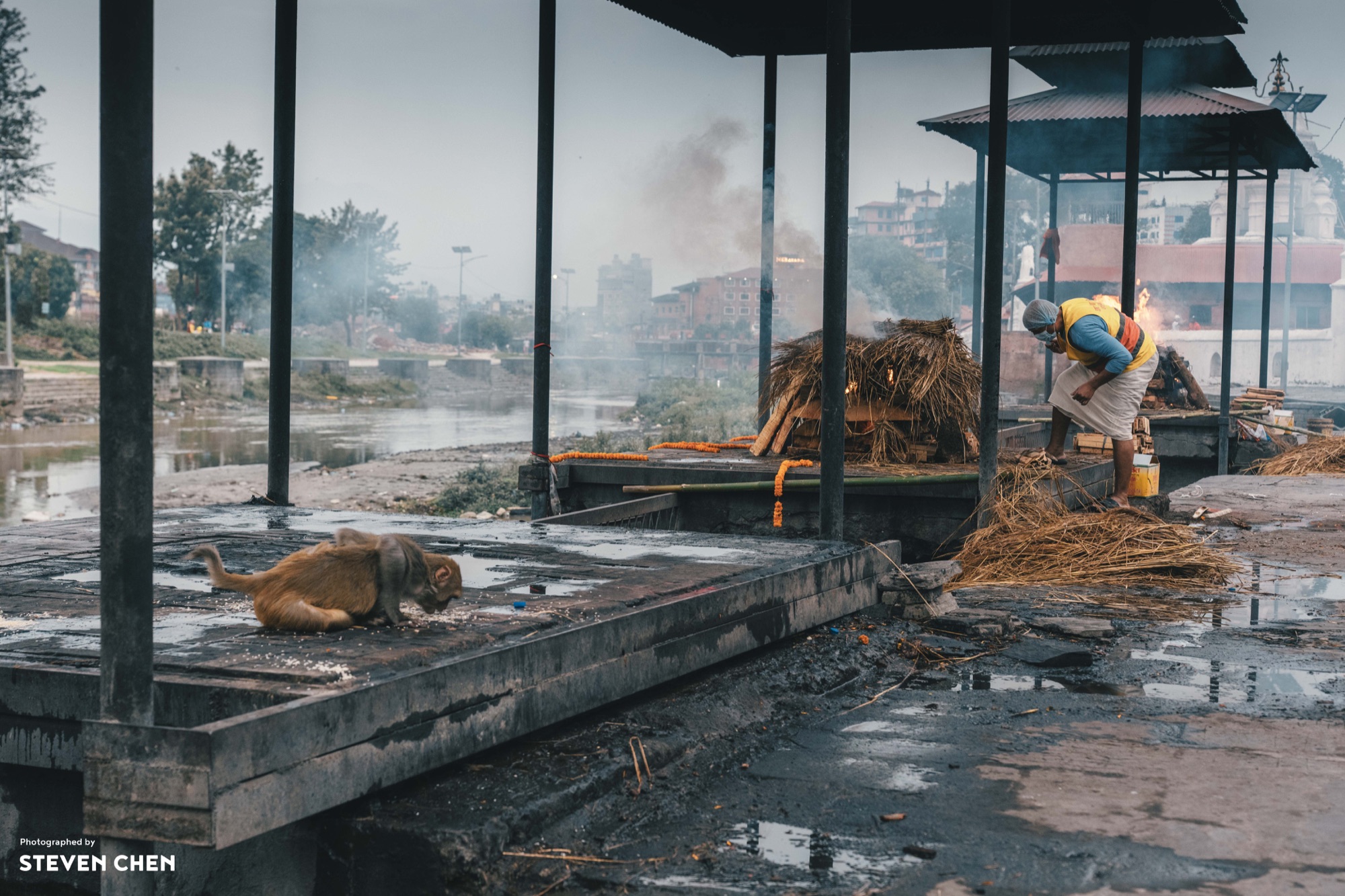 Beyond the Ashes